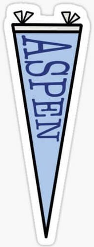 Aspen University pennant