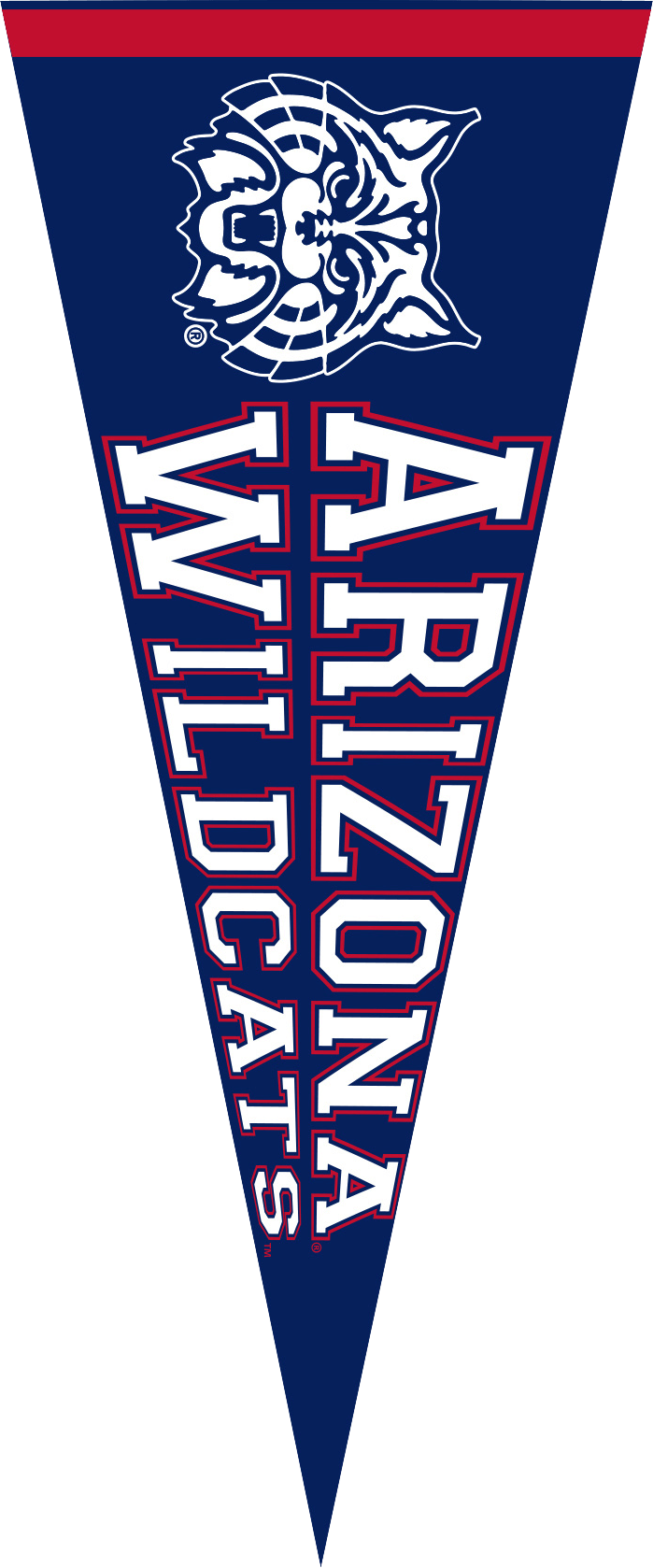 University of Arizona
